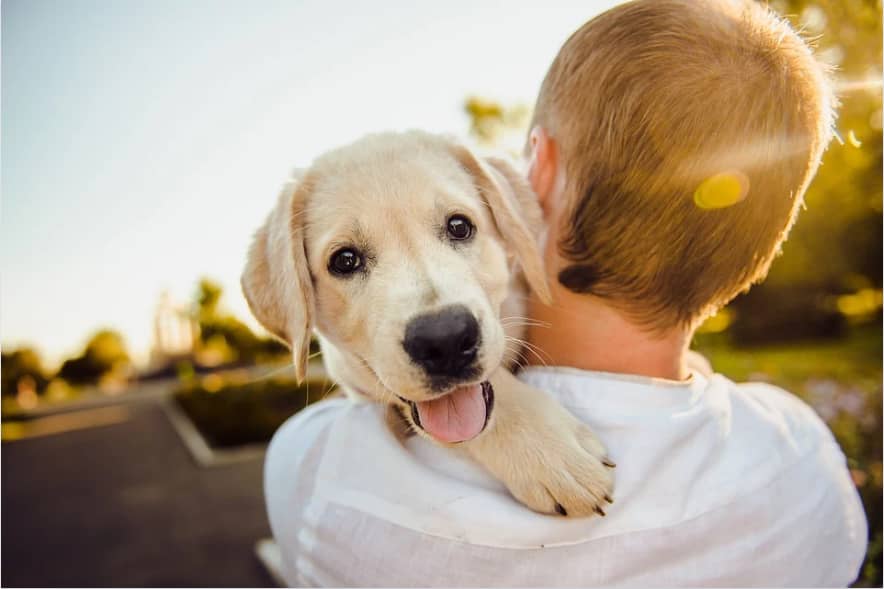PET
